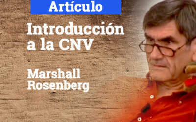 Introduccion a la CNV